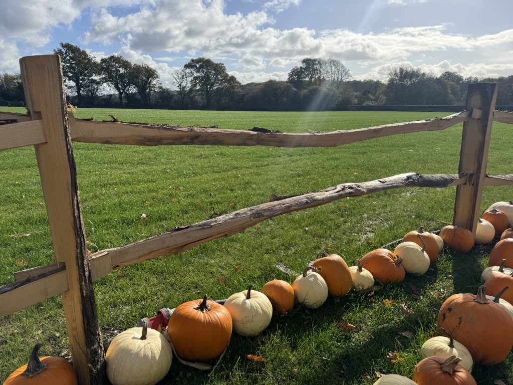 cleft chestnut oak fencing post and rail