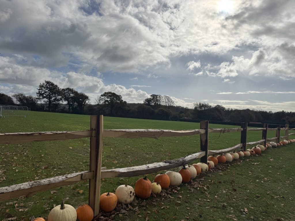cleft chestnut oak fencing post and rail